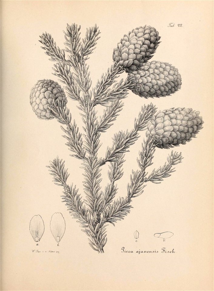 n634_w1150