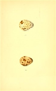 n28_w1150
