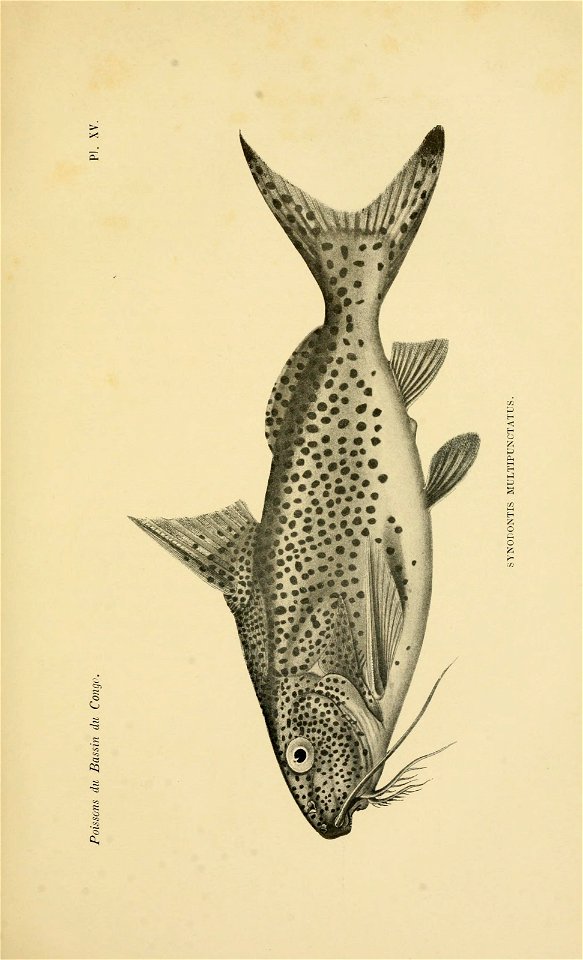 n418_w1150