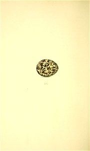 n181_w1150
