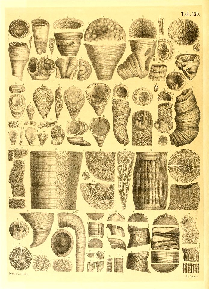 n19_w1150