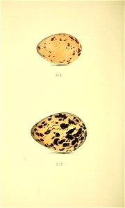 n253_w1150