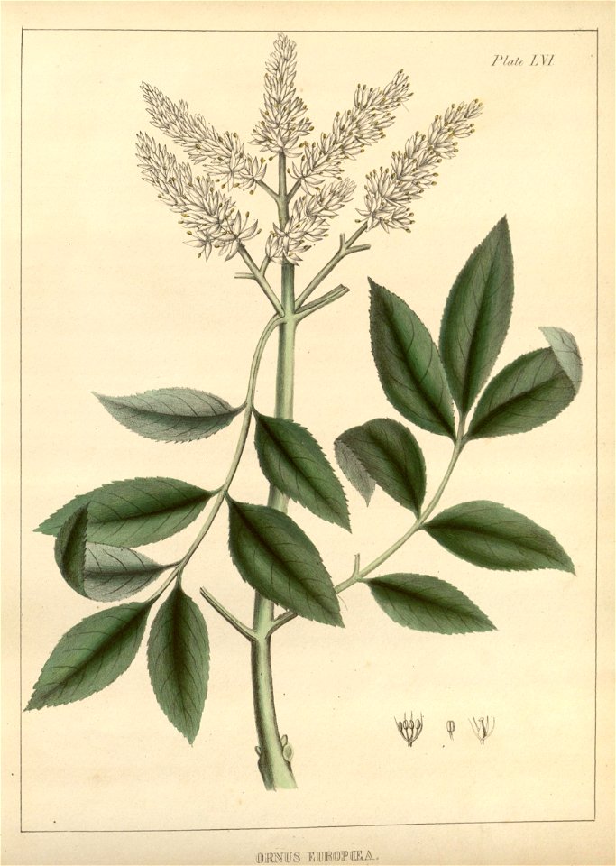 n8_w1150
