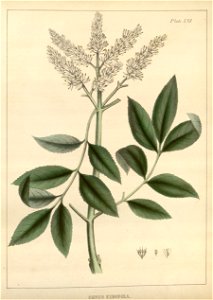 n8_w1150