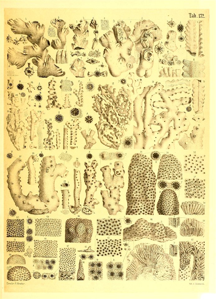 n58_w1150