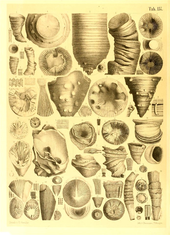 n13_w1150