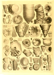 n13_w1150
