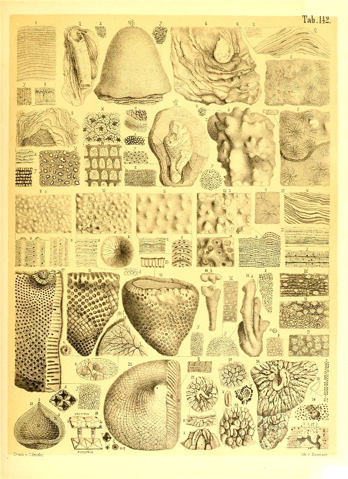 n88_w1150