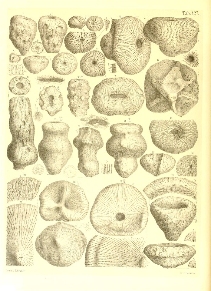 n43_w1150