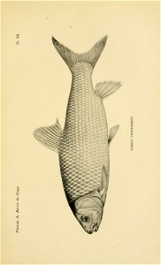 n328_w1150