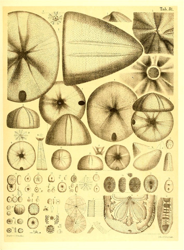 n68_w1150