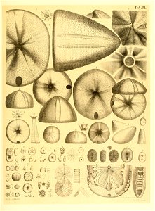 n68_w1150