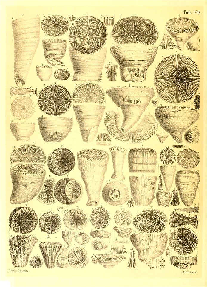 n49_w1150
