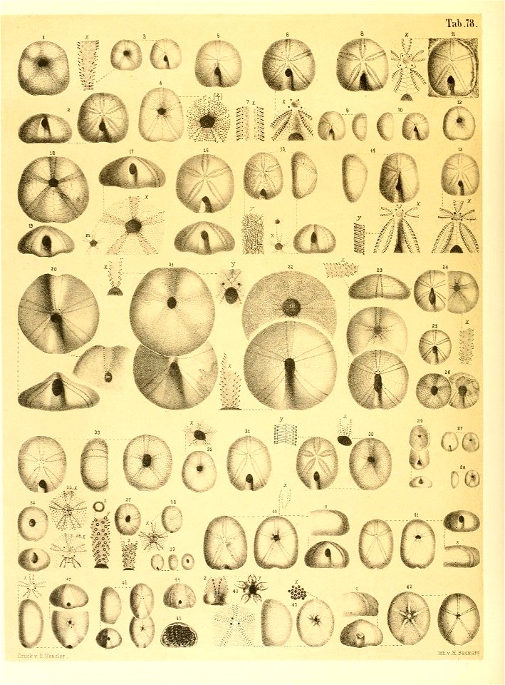 n59_w1150