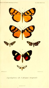 n596_w1150