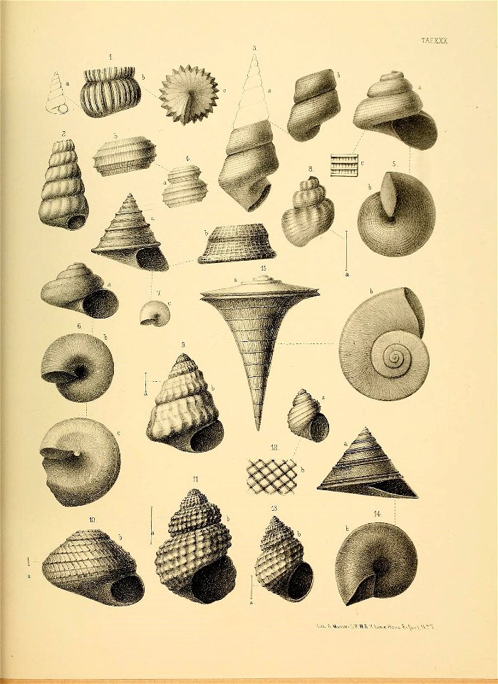 n136_w1150