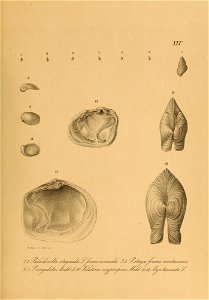 n584_w1150