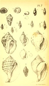 n297_w1150