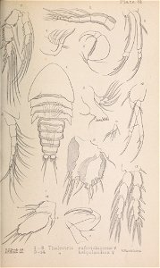 n302_w1150