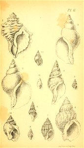 n294_w1150