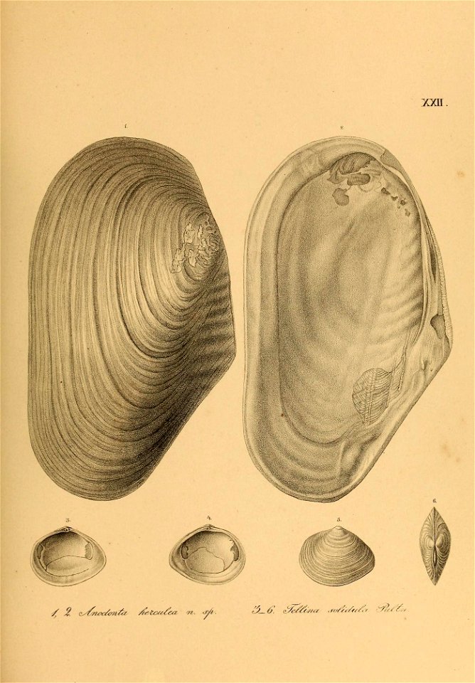 n578_w1150