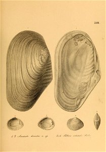 n578_w1150