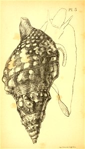 n291_w1150
