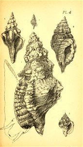 n288_w1150