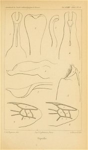 n576_w1150