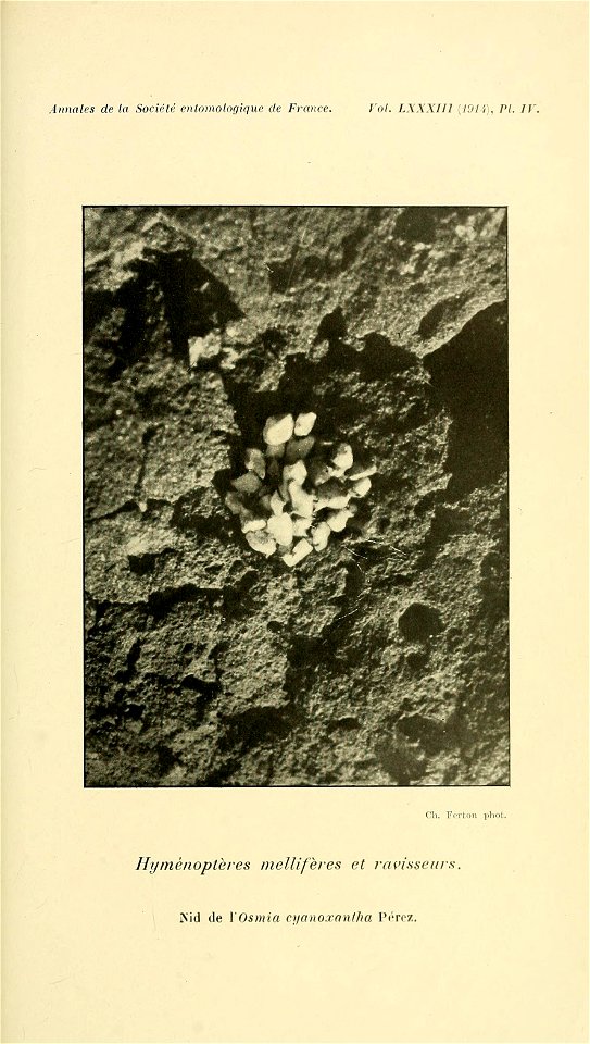 n158_w1150