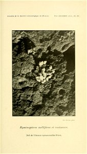 n158_w1150