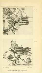 n638_w1150
