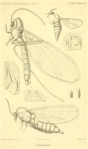 n682_w1150