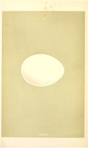 n409_w1150