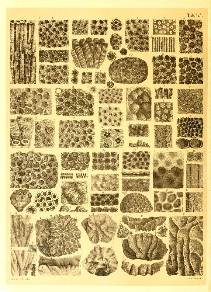 n61_w1150