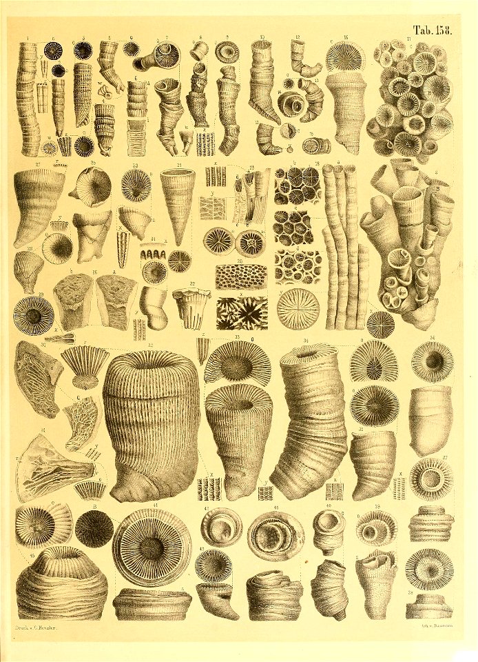 n16_w1150