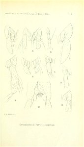 n204_w1150