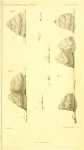 n550_w1150
