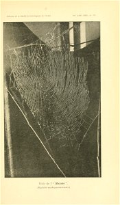 n794_w1150