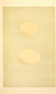 n230_w1150