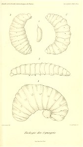 n572_w1150