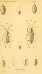 n676_w1150