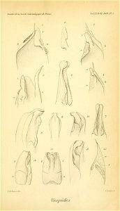 n628_w1150