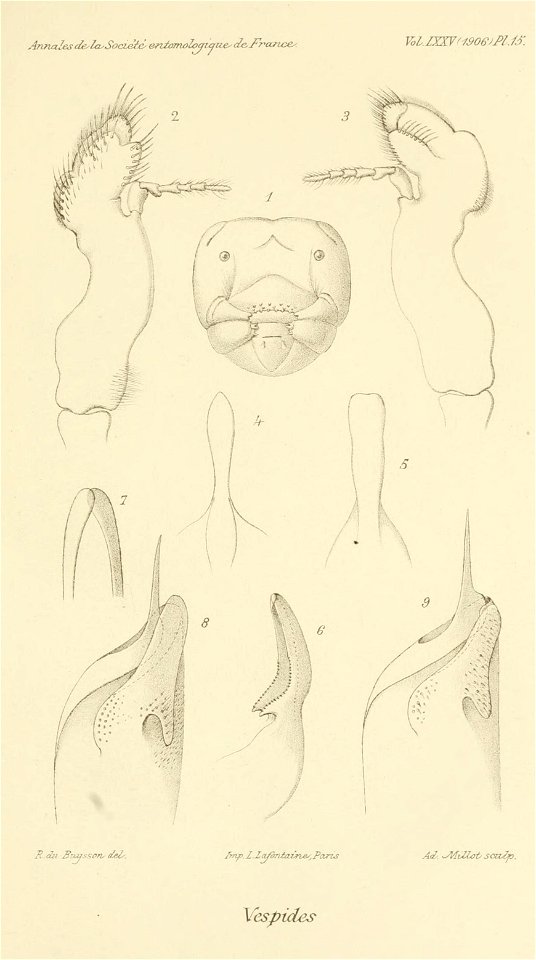 n482_w1150