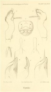n482_w1150