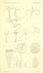 n874_w1150
