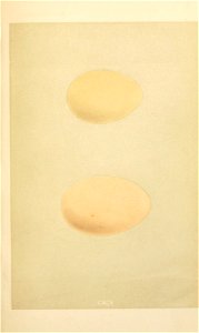 n212_w1150