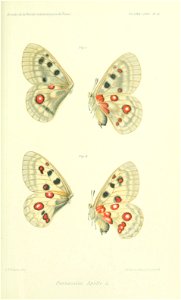 n682_w1150