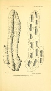 n652_w1150