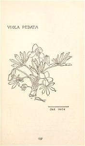 n298_w1150